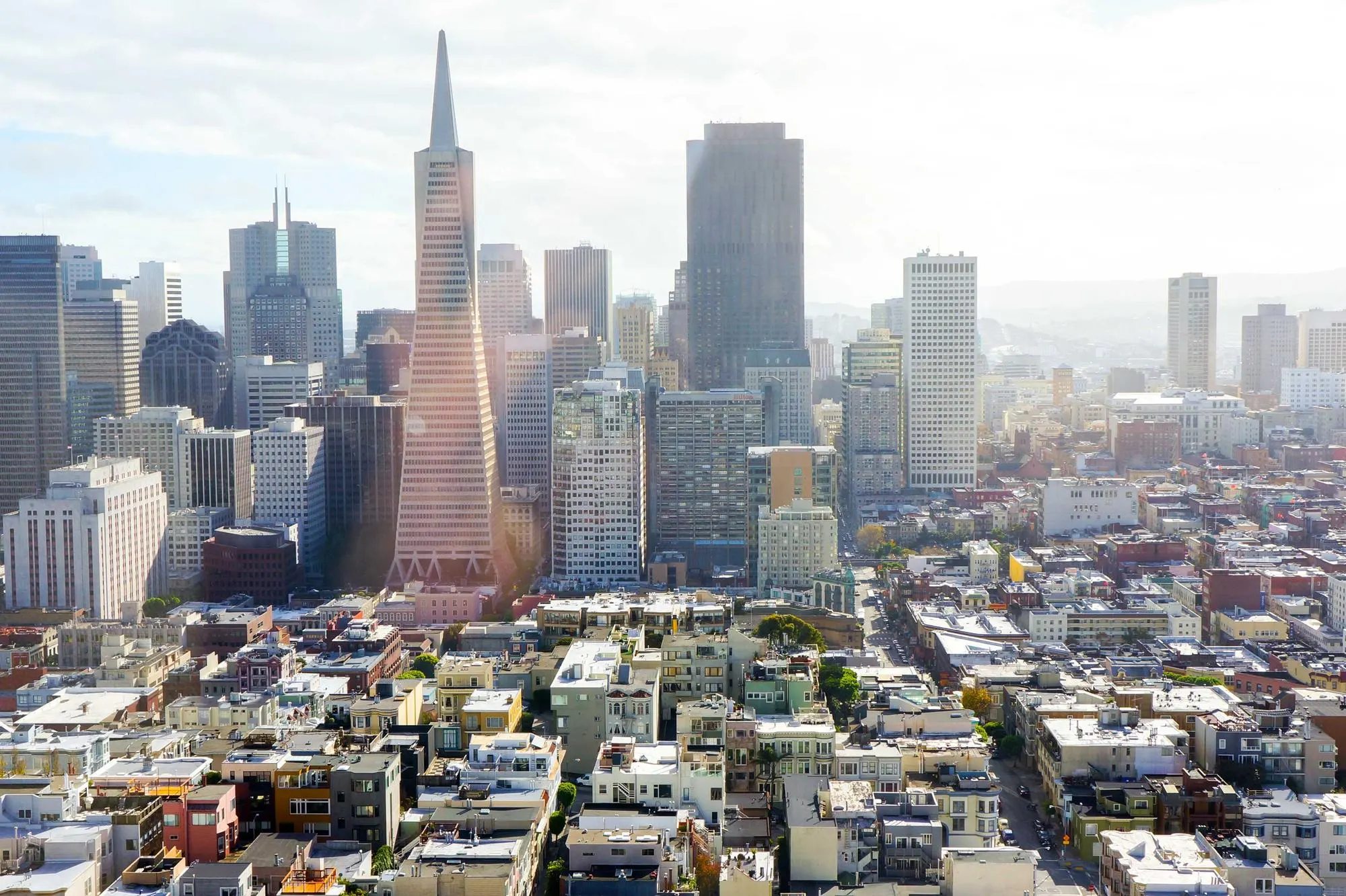 Dense city skyline seen from a hill